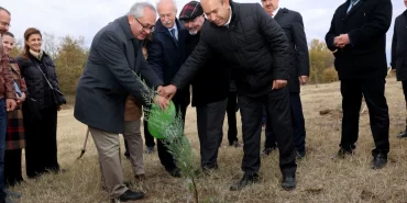 TÜB milli ağaçlandırma günü'nde fidan dikti